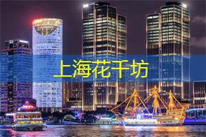 展示了上海的城市规划与发展历程